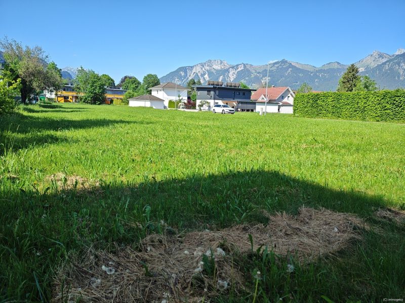 Ein Grund zum Bauen
